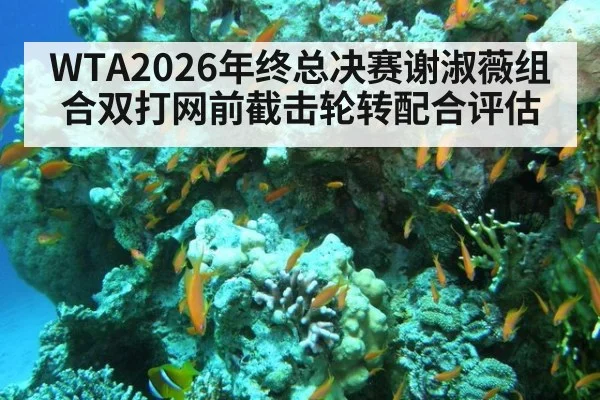 WTA2026年终总决赛谢淑薇组合双打网前截击轮转配合评估